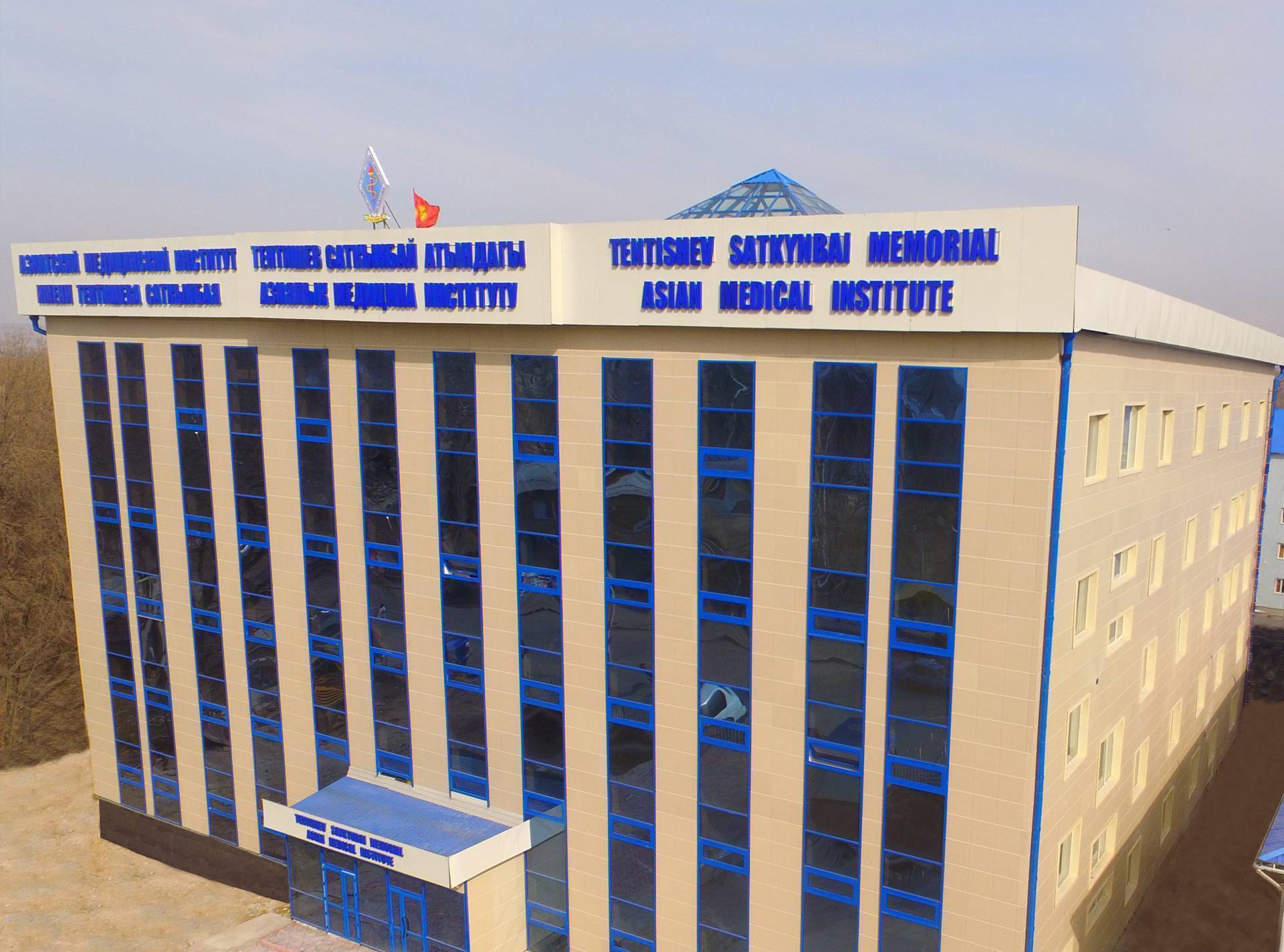 Asian Medical Institute